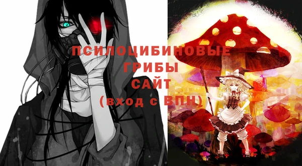 бошки Армянск