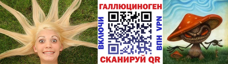 Купить закладки  Тверь  Псилоцибиновые грибы прущие грибы 